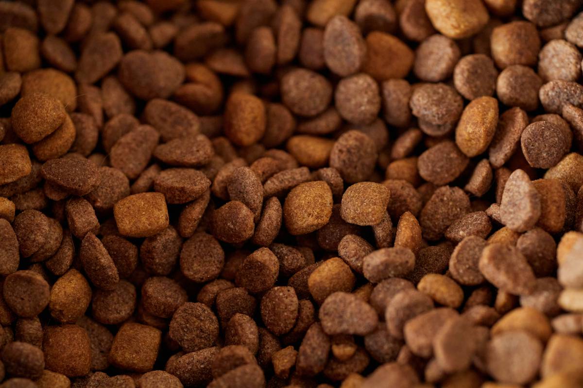 Chart comparing heme vs non-heme iron absorption rates in commercial dog food ingredients