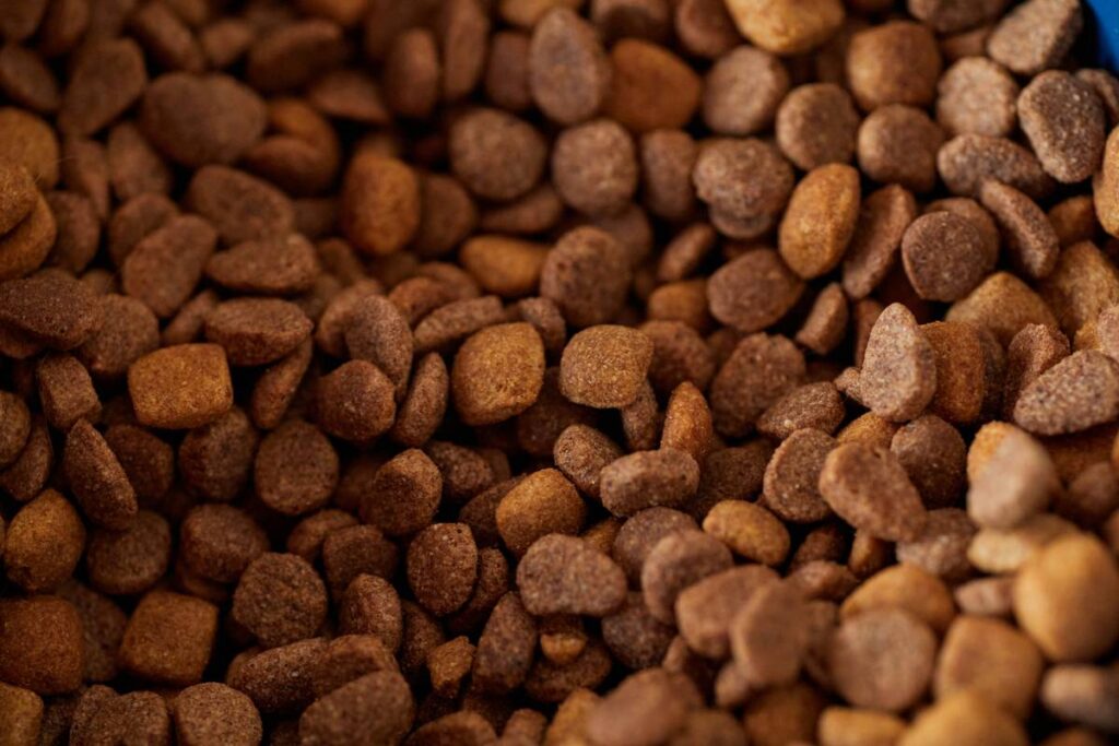 Iron-Rich Homemade Recipes for Pets: Safe, Vet-Approved Meals to Fight Anemia Naturally