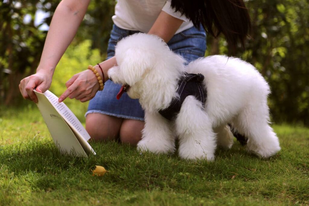 Weight-Based Dosage Charts for Iron Supplements in Pets: A Vet-Approved Guide to Safe Dosing
