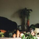 Constipation Prevention in Pets: Why Iron Supplements Aren’t the Answer (And What Actually Works)