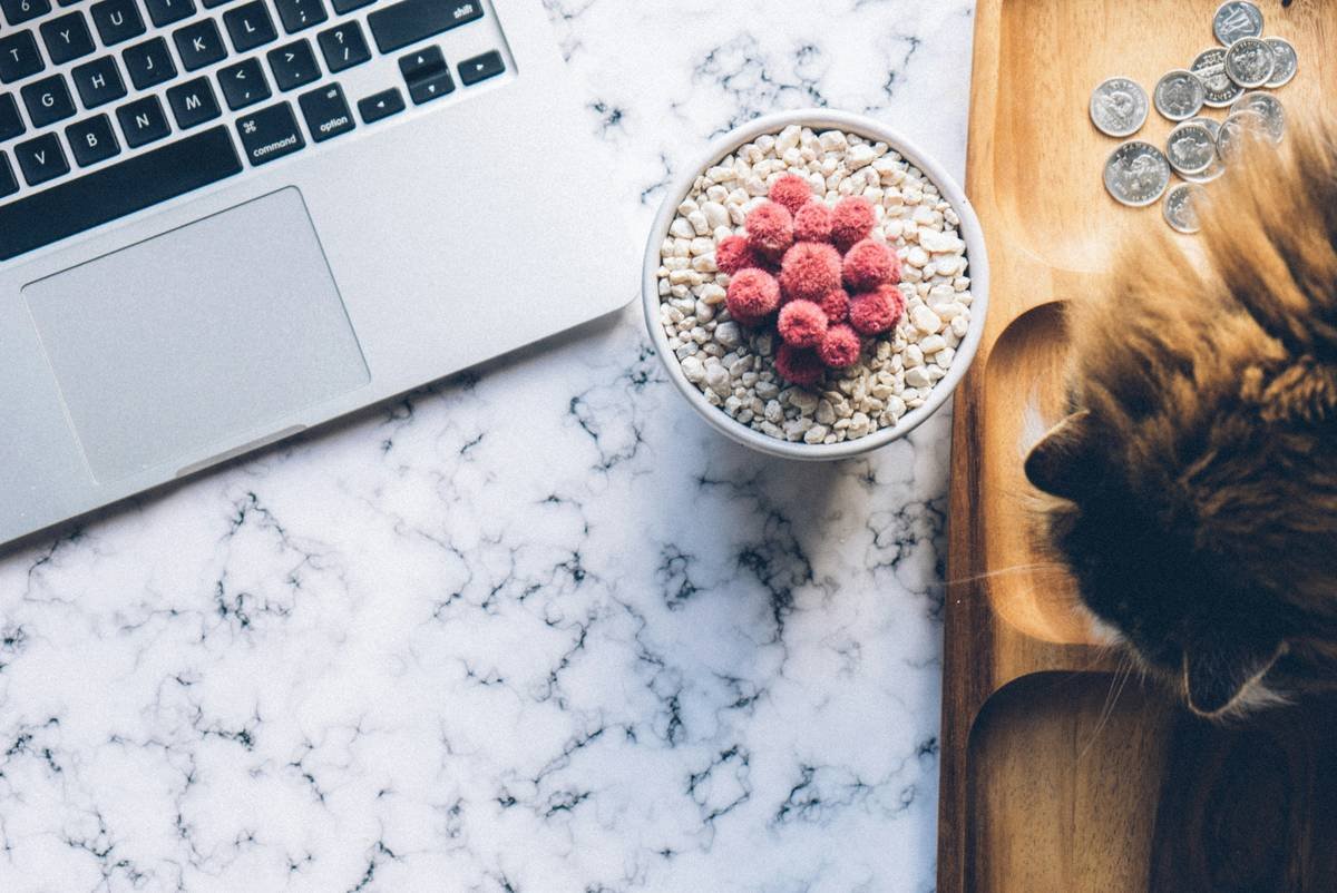 Customized Diet Plans for Pets: When Iron Supplements Are the Missing Piece