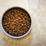 Why Your Pet’s Iron Levels Matter in Balanced Diet Plans
