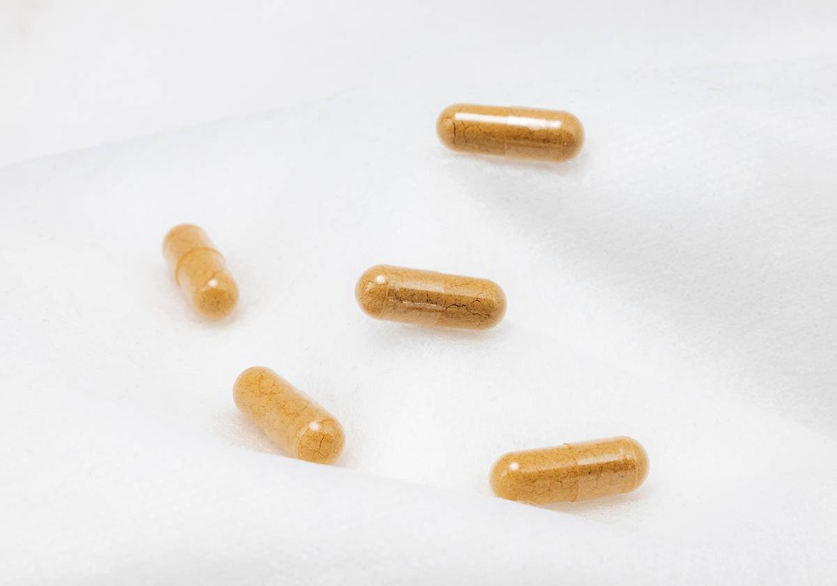 Elemental Iron in Supplements: What Pet Owners *Actually* Need to Know Before Giving a Single Pill