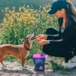 Iron Vitamins for Dogs: The Vet-Approved Guide to Spotting Deficiency, Choosing Supplements & Avoiding Dangerous Mistakes