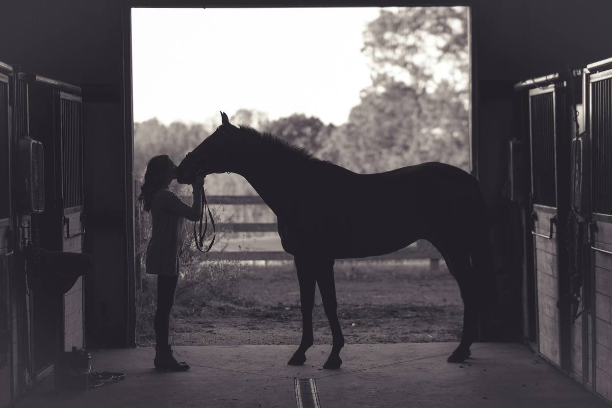 Iron Horse Supplements: Dosage Guidelines Every Equine Owner Must Know