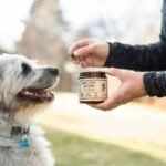 Iron Supplements Benefits and Side Effects: What Every Pet Parent Needs to Know