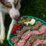 js health iron supplement: Dosage Guidelines Every Pet Owner Must Know